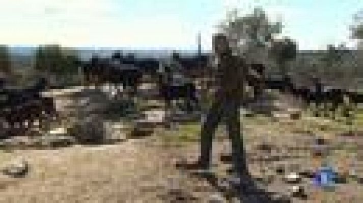 Telediario 1 - Alimentación ecológica