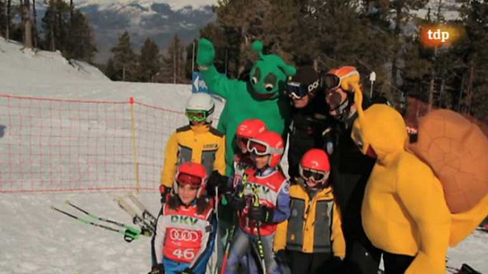 Audi Quattro Cup. Masella