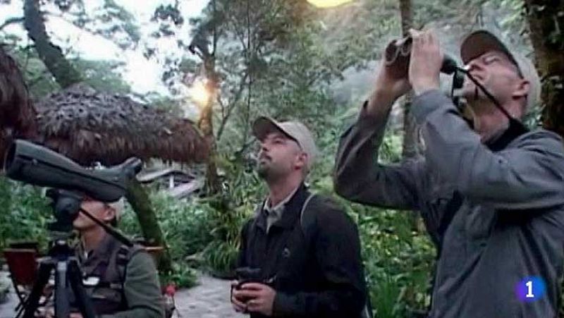 Perú promueve turismo ornitológico 