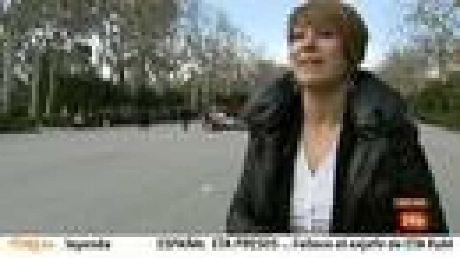 Parlamento - Sin luz ni taquígrafos - Lourdes Ciuró (CiU) - 30/03/2013