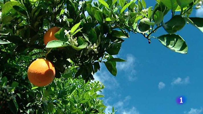 L'informatiu - Comunitat Valenciana - L'Informatiu - Comunitat Valenciana - 01/04/13