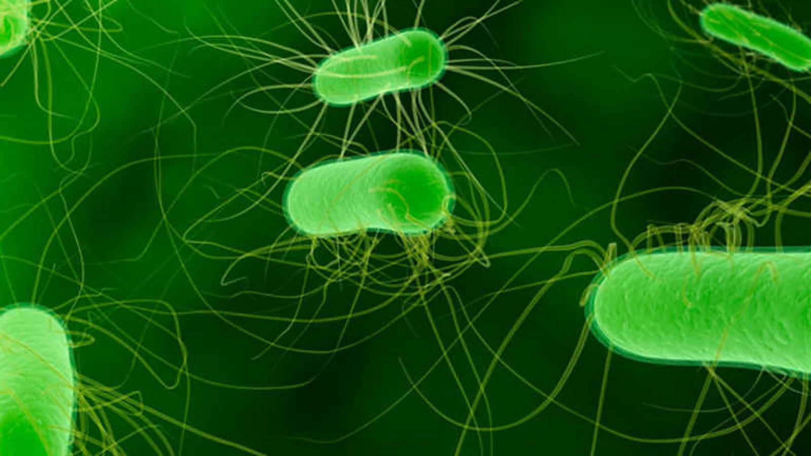 Docufilia - Los microbios dominan el mundo