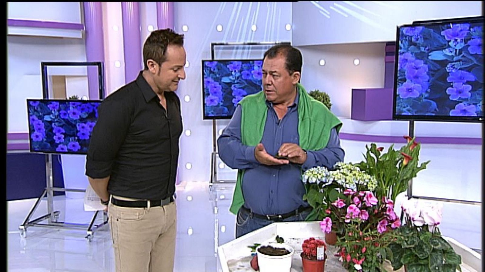 Cerca de ti - 03/04/13 - Cerca de ti | Ver