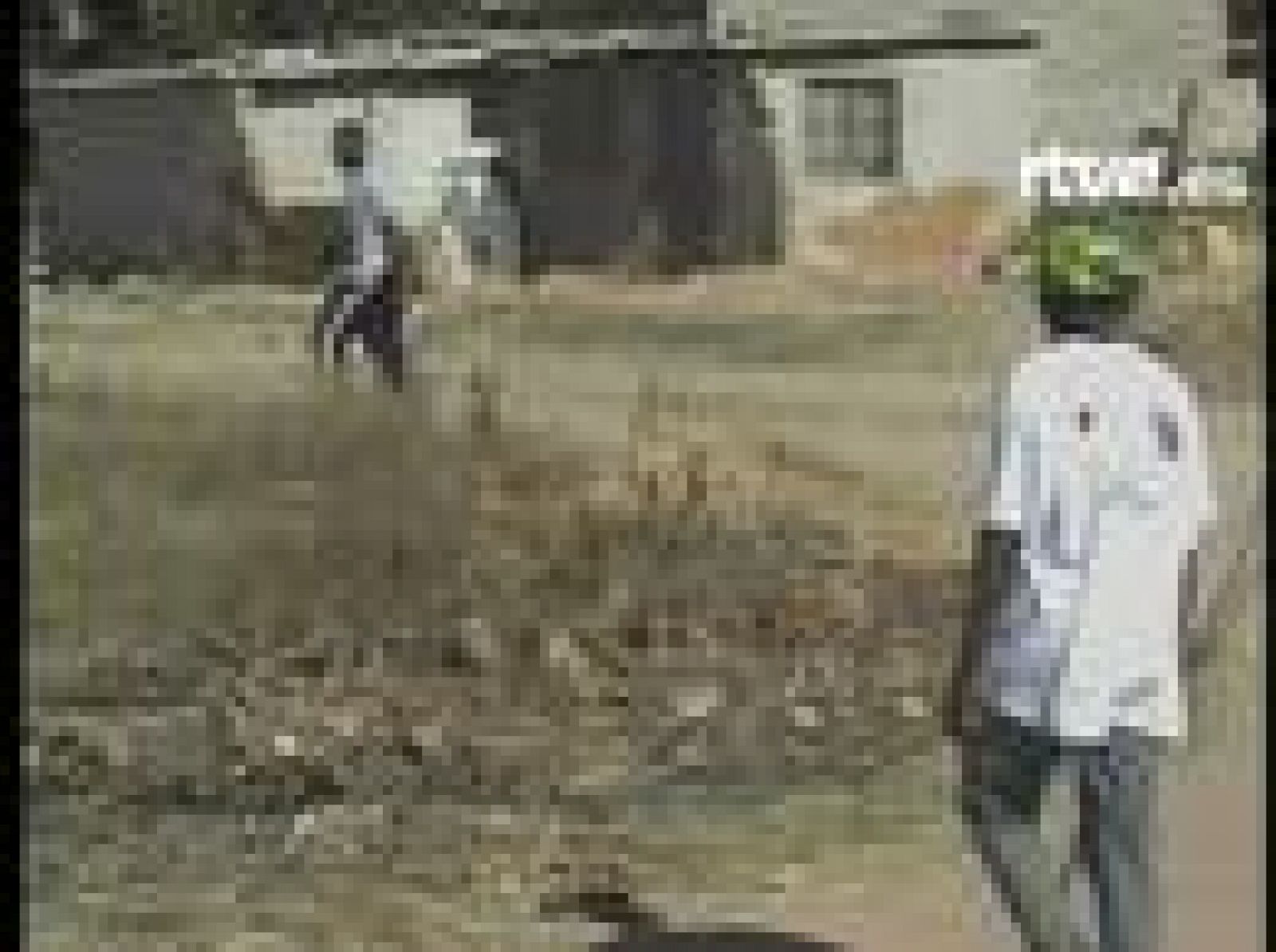 Sin programa: Violencia en Zimbabue | RTVE Play
