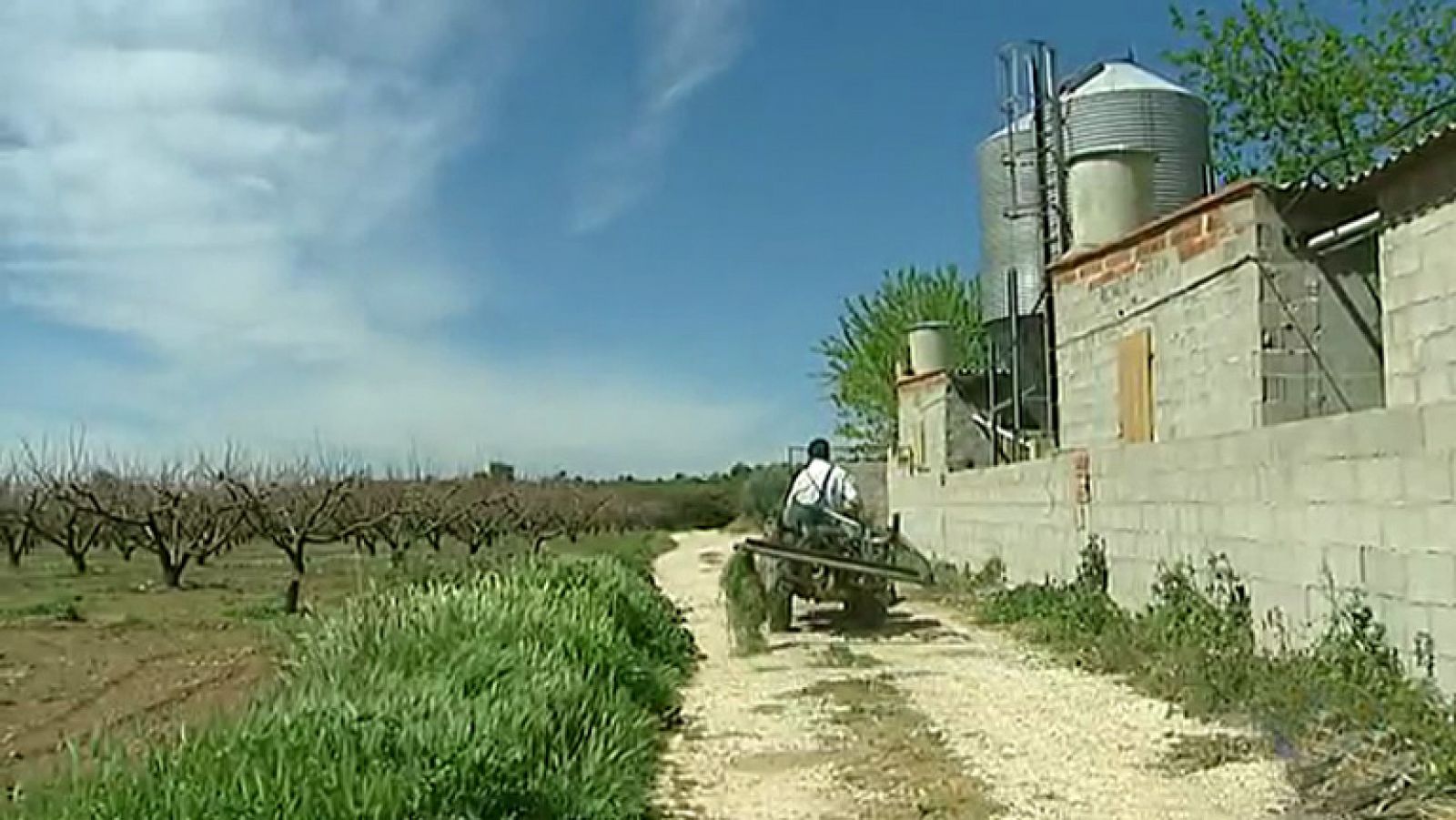 Telediario 1: Los agricultores valencianos denuncian los continuos robos sufridos en los últimos años | RTVE Play