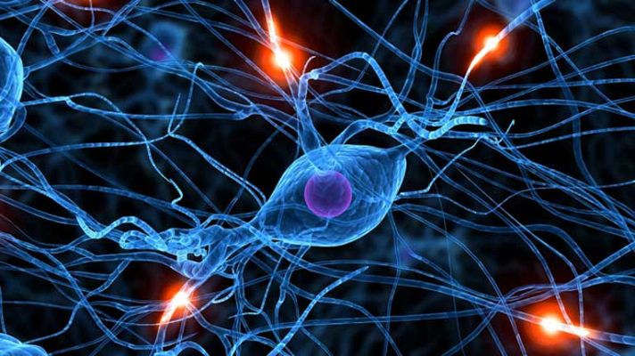 Telediario 1 - Pérdida de memoria