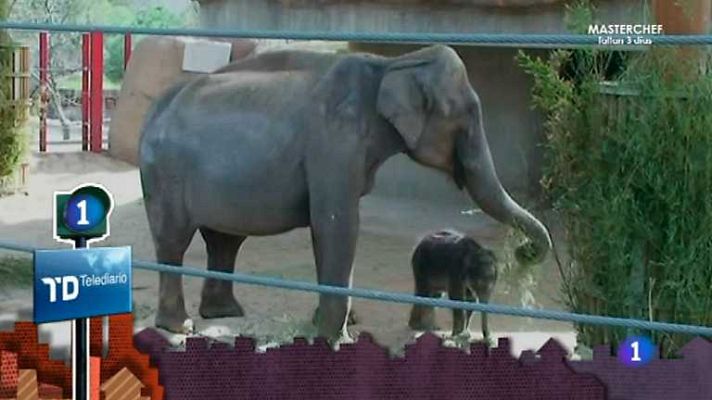 Lo que hay que ver ... - Lo que hay que ver - 07/04/13