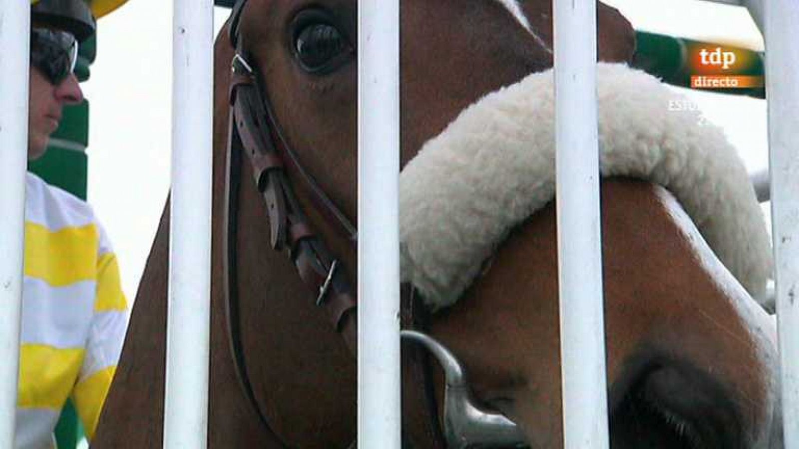 Turf - 07/04/13 - Ver ahora