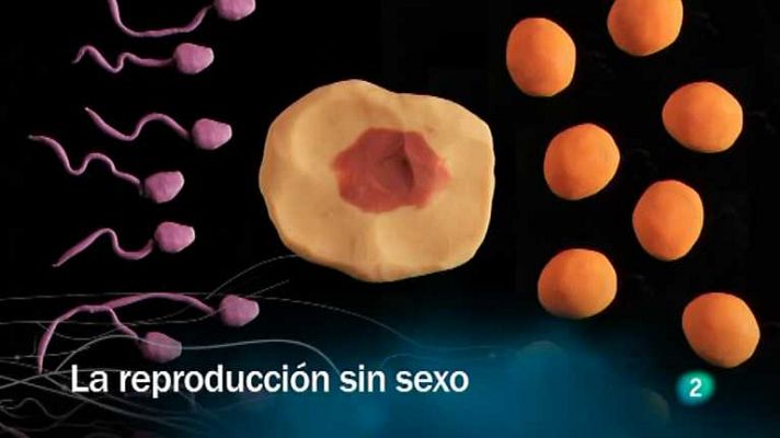 La reproducción sin sexo