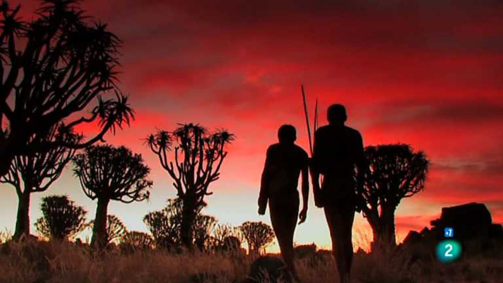 Documentos TV - La industria de los expertos - ver ahora