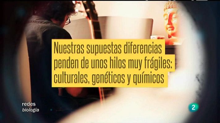 Redes - Diferencias entre hombres y mujeres