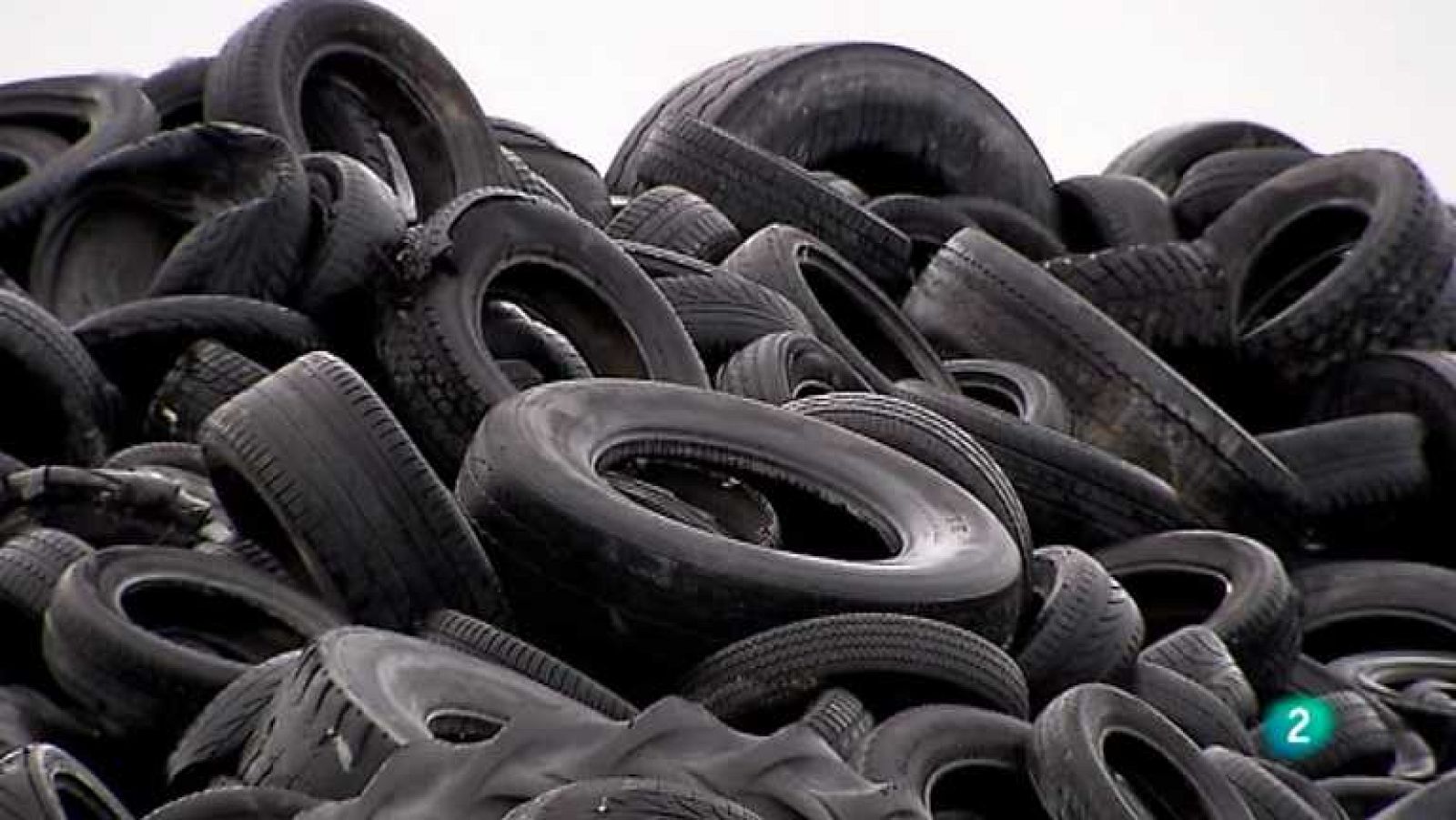 Biodiario - 08/04/13 - ver ahora