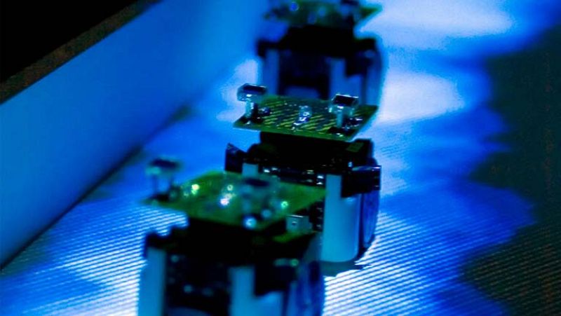  Experimento con hormigas robóticas