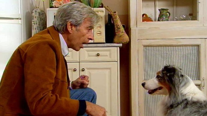 Cuéntame cómo pasó - La perrita Luna Alcántara