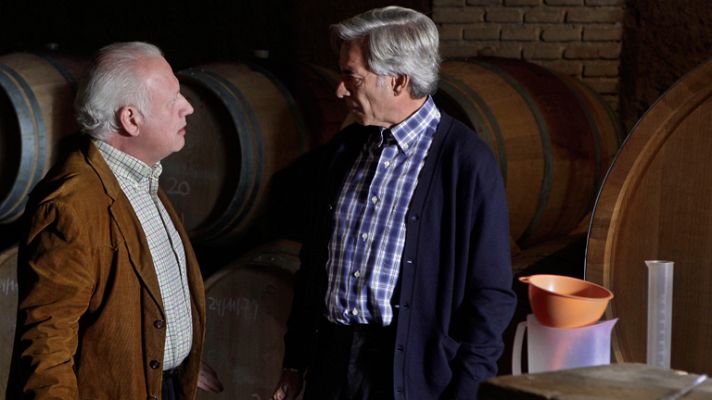 Cuéntame cómo pasó - Miguel, corazón apasionado