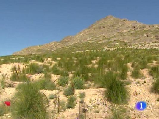 Noticias Murcia - Noticias Murcia.(10/04/2013)