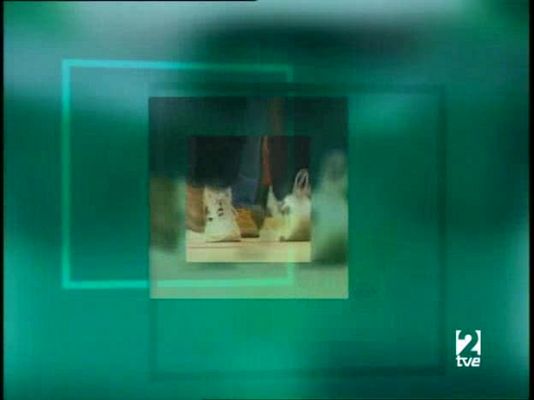 Últimas preguntas - Sociedad y religión