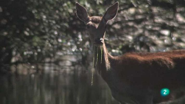 Biodiario - Biodiario - 11/04/13