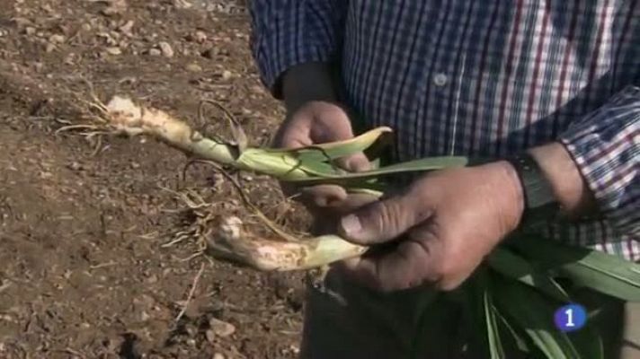 Noticias de Castilla-La Mancha - Noticias de Castilla-La Mancha. 12/04/13