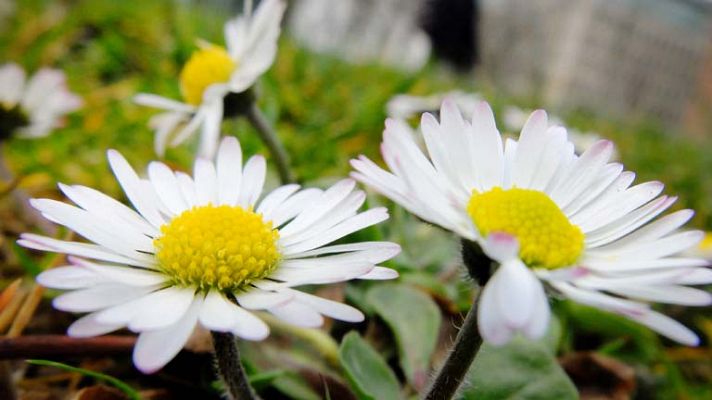 El tiempo - Ascenso de las temperaturas