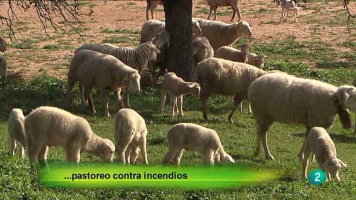 Agrosfera - Agrosfera - 13/04/13