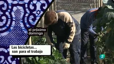 Babel en TVE - Avance - 21/04/13