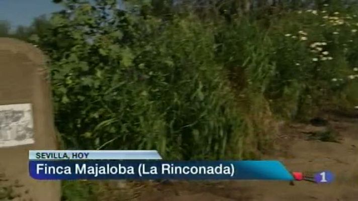 Noticias Andalucía 2 - 17/04/2013