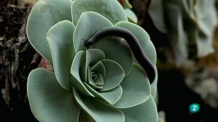 Biodiario - Biodiario - 17/04/13