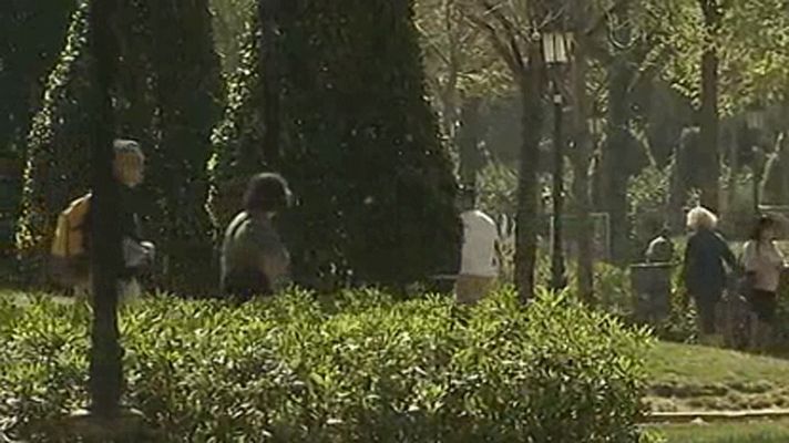 Telediario 1 - Se retrasan las alergias