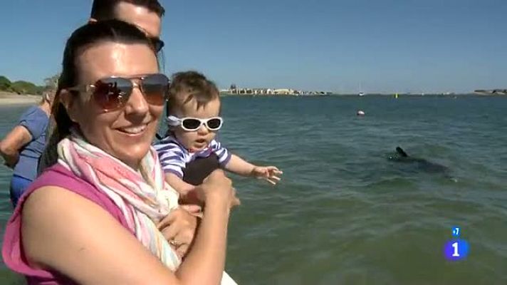 Españoles en el mundo - Perth - Rosa