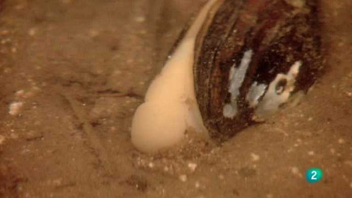 Biodiario - Biodiario - 18/04/13