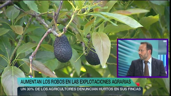 +Canarias - + Canarias - 18/04/13