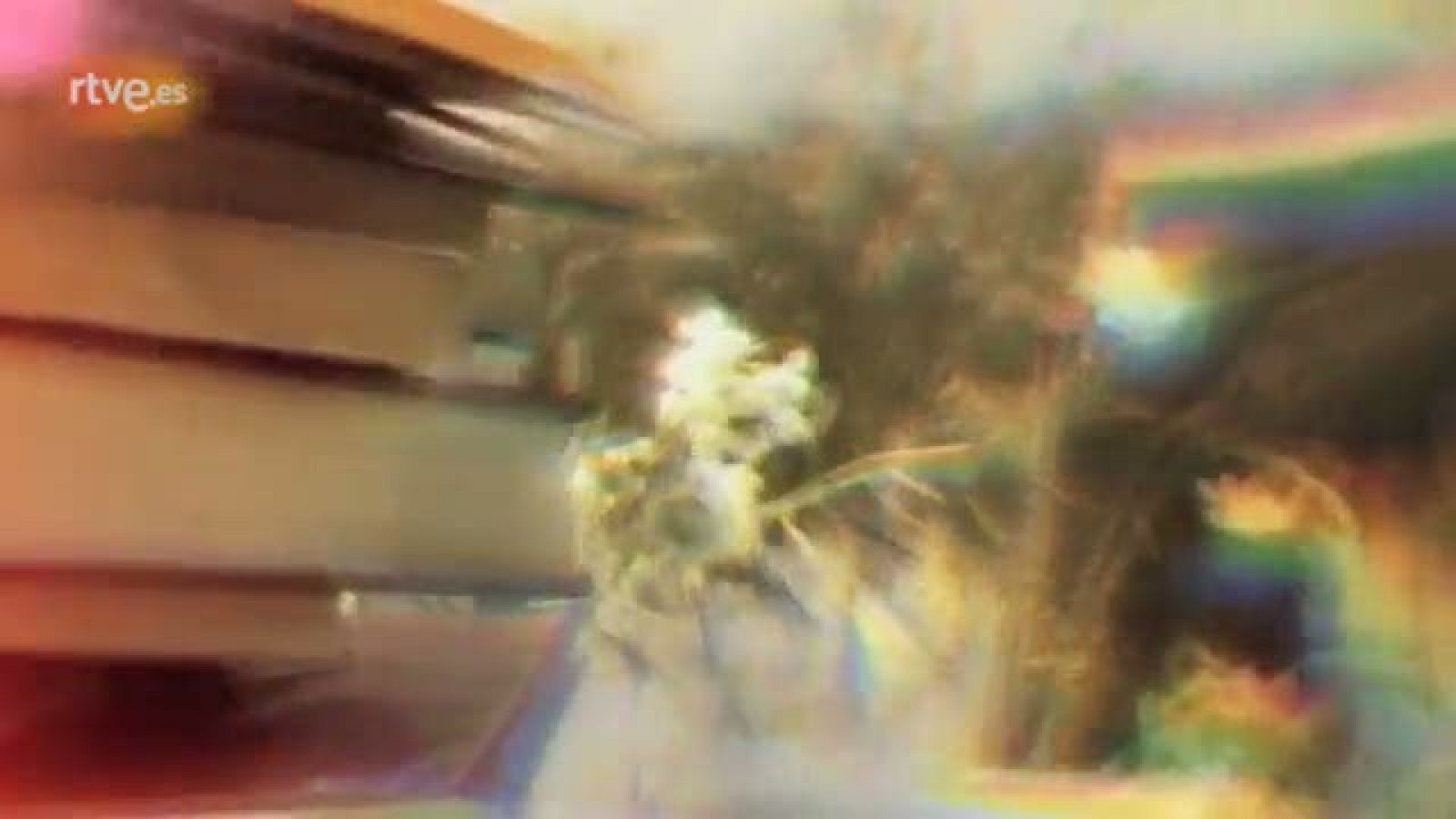 TVE Pasión por leer - Recomendaciones de nuestros famosos