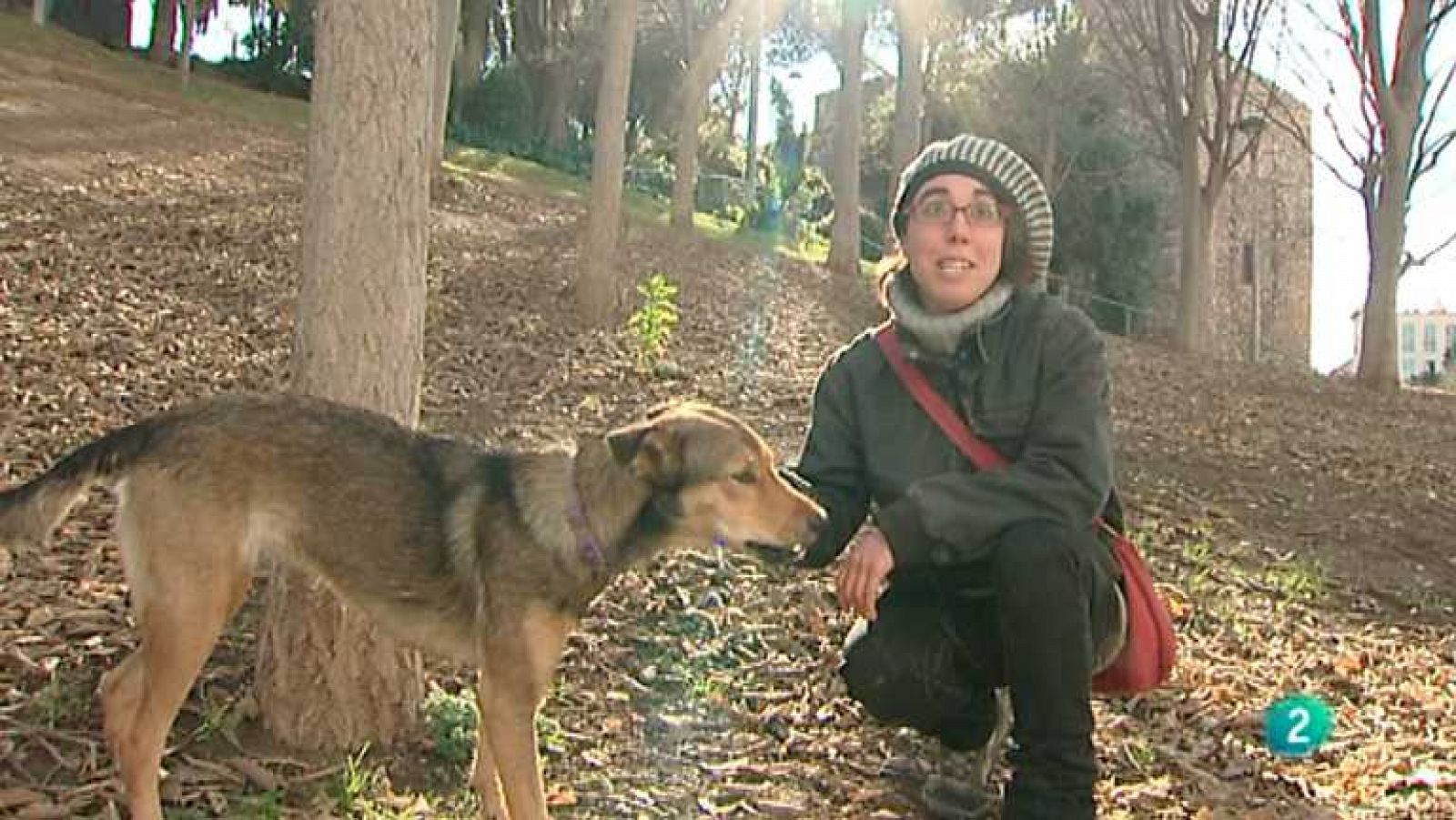 El escarabajo verde - Paraísos de barrio -ver ahora