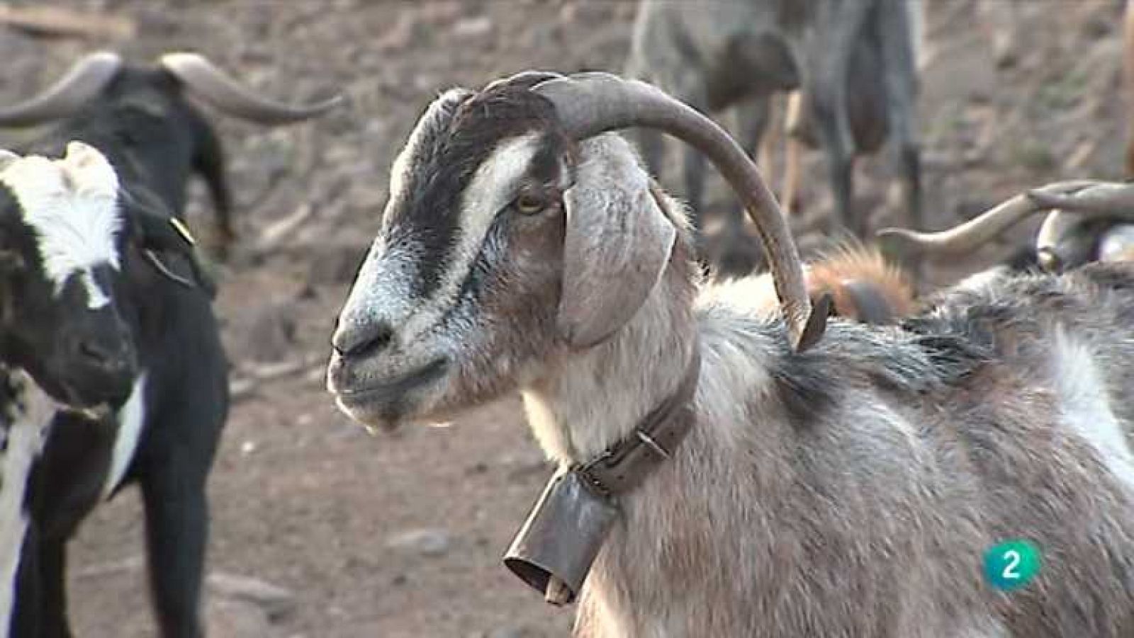 Agrosfera - 20/04/13 - Ver ahora