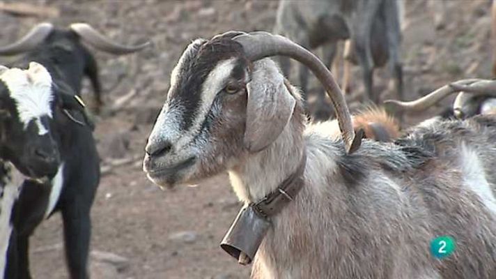 Agrosfera - Agrosfera - 20/04/13