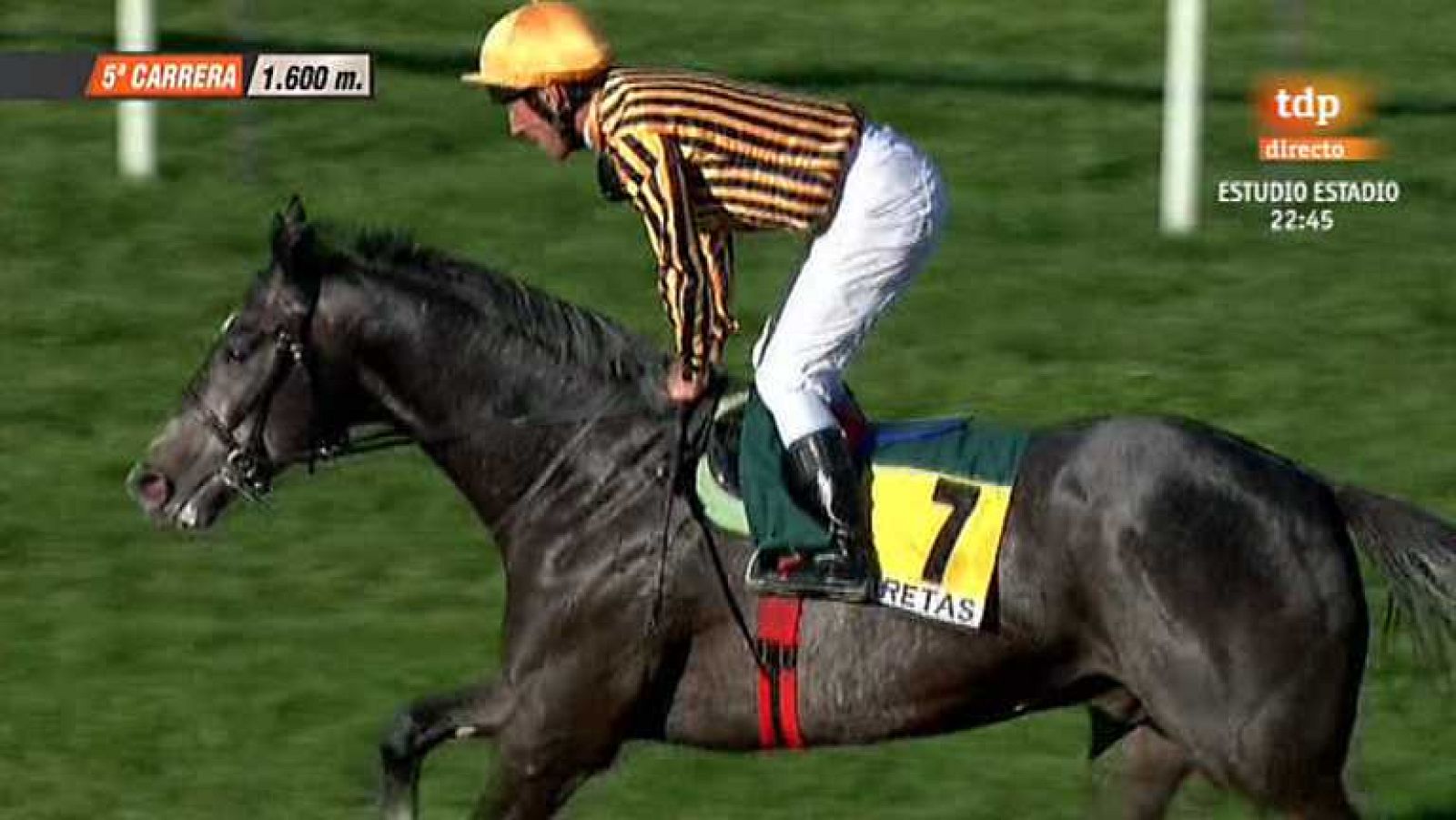 TURF - 21/04/13 - Ver ahora