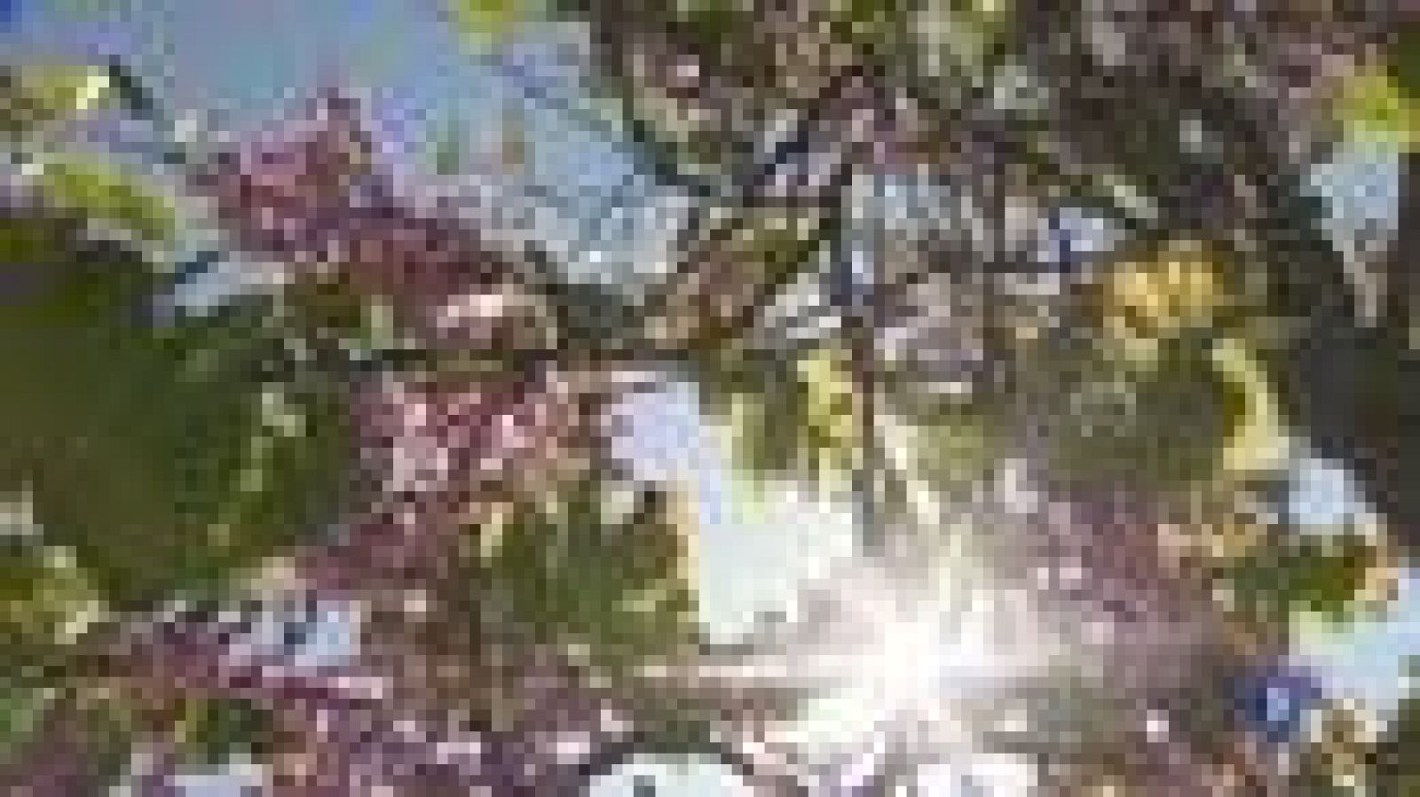 Portes Obertes al Jardí Botànic de Barcelona