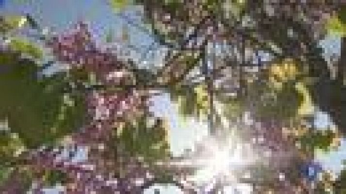 L'Informatiu - Portes Obertes al Jardí Botànic de Barcelona