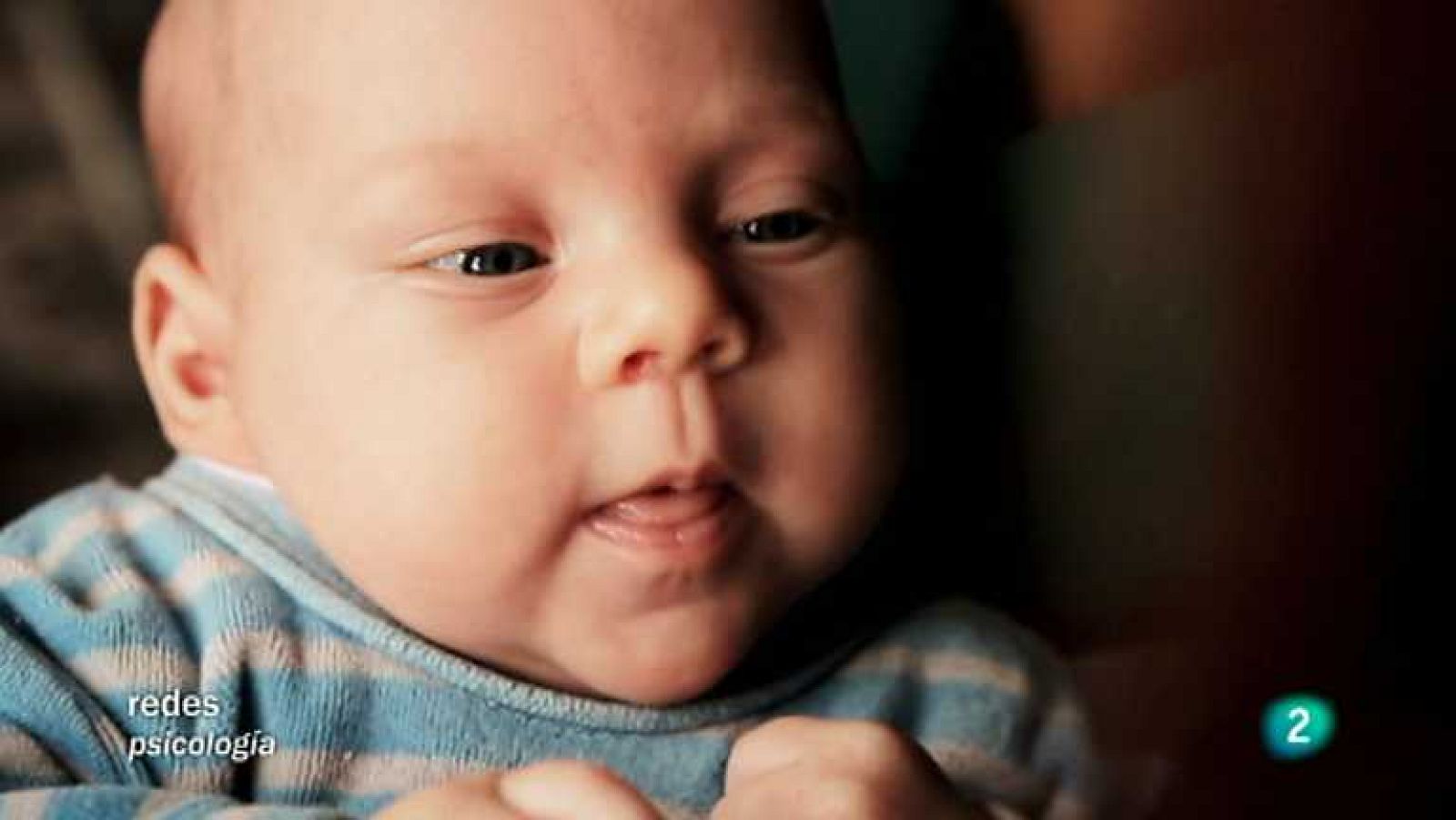 Redes - Los bebés comprenden la música - Ver ahora 