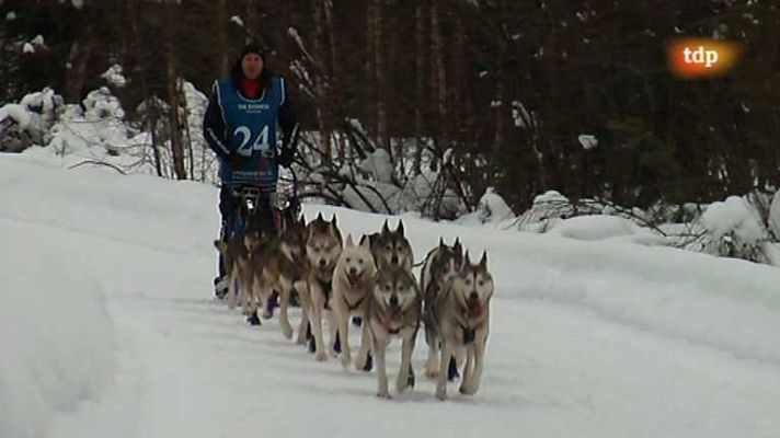 Vídeos Teledeporte - Carreras de trineos - Destino Escandinavia