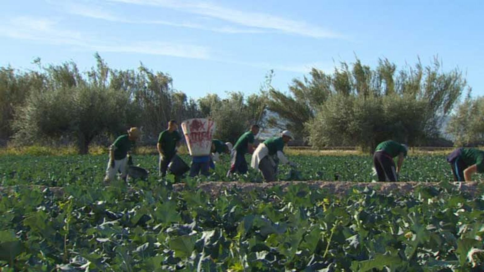 16 millones de brasileños sobreviven con menos de 31 euros al mes