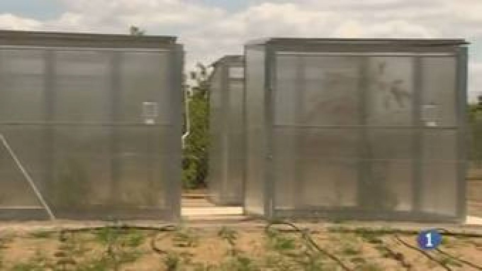 Noticias de Castilla La Mancha 2 (24/03/2013) | Ver