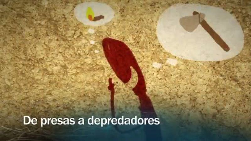  Redes - De presas a depredadores - avance
