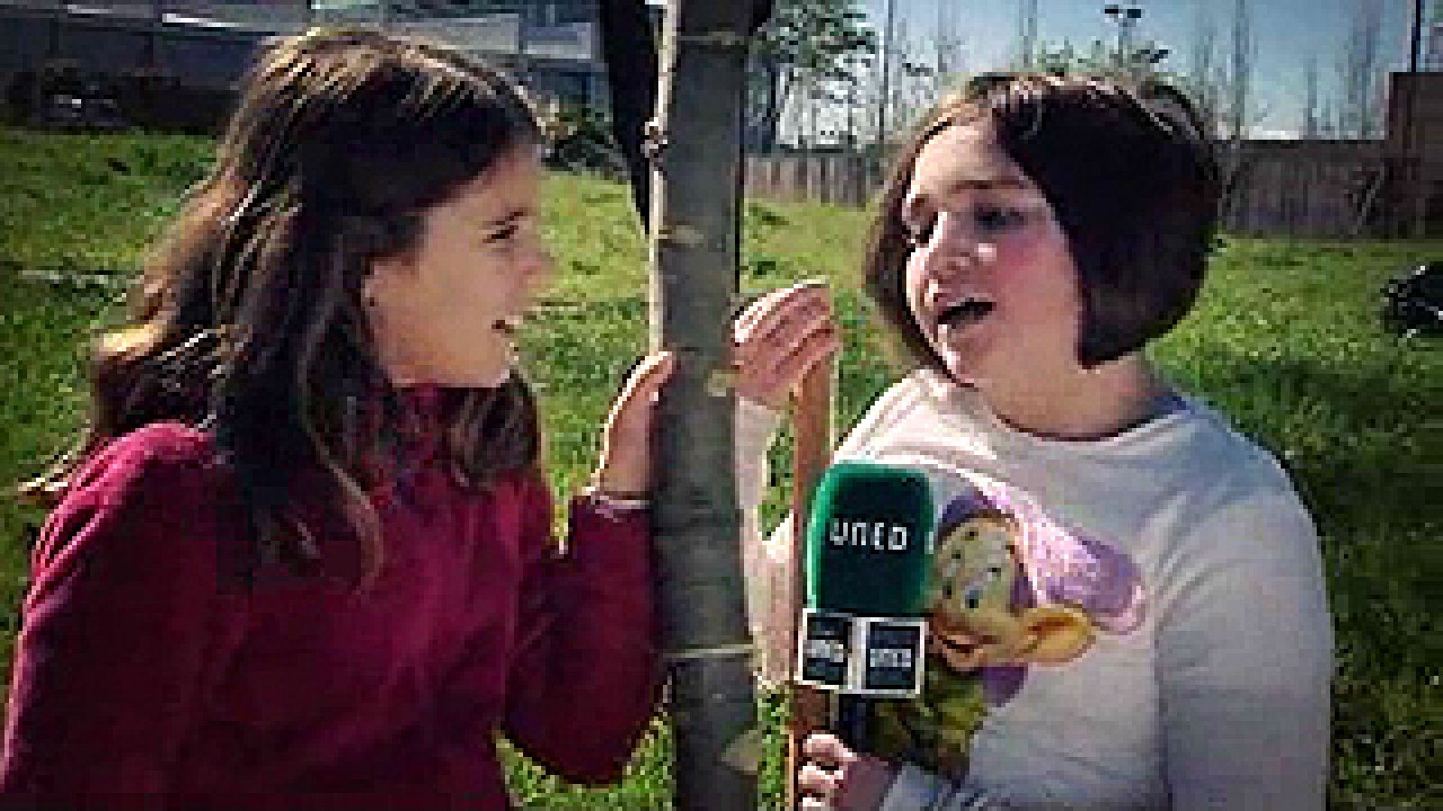 40 años, 40 árboles.