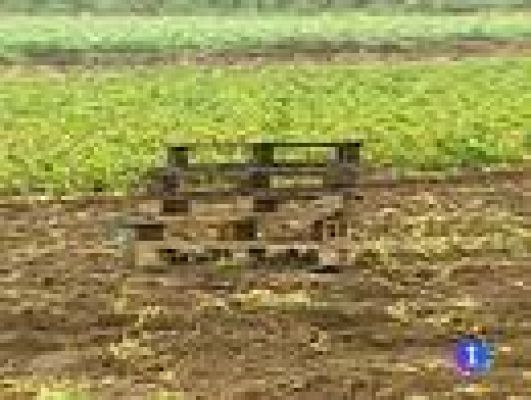 Noticias Murcia - La Comunidad de Murcia en 2'.(26/04/2013)