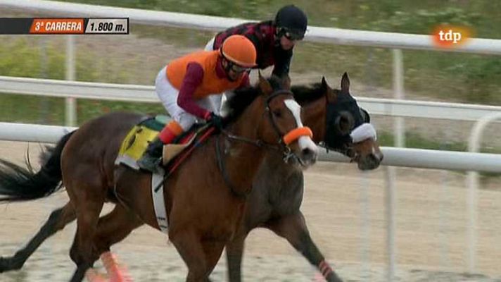 Turf - Turf - 26/04/13