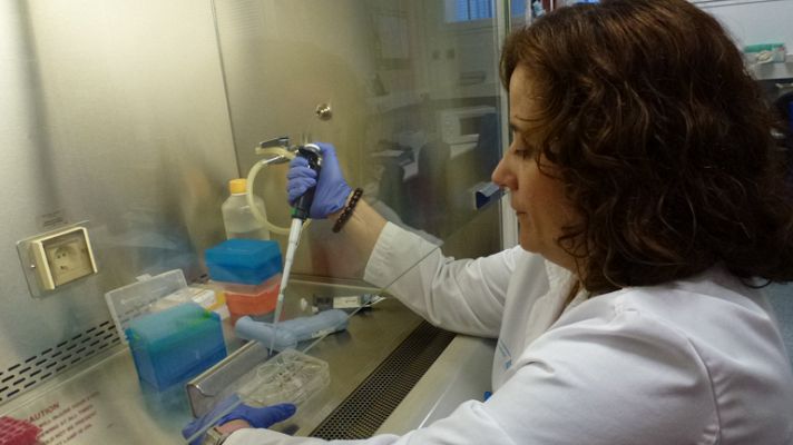 Elaboran un registro de familiares para investigar el cáncer de páncreas