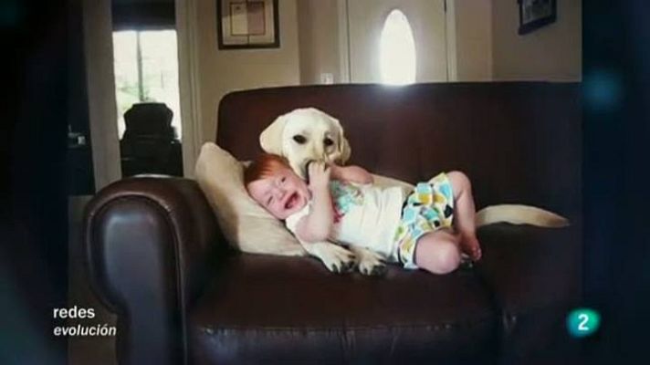 Redes - Redes - La mirada de Elsa - Los perros-guía