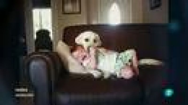 Como ejemplo de cooperación entre humanos y otros animales, La Mirada de Elsa se centra en los perros guía y la ayuda que prestan a las personas ciegas.